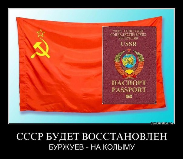 Восстановить СССР?