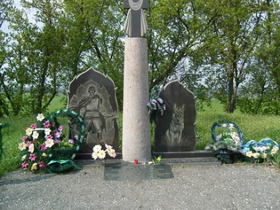 Собаки против людей. Рукопашная. Июль 1941-го